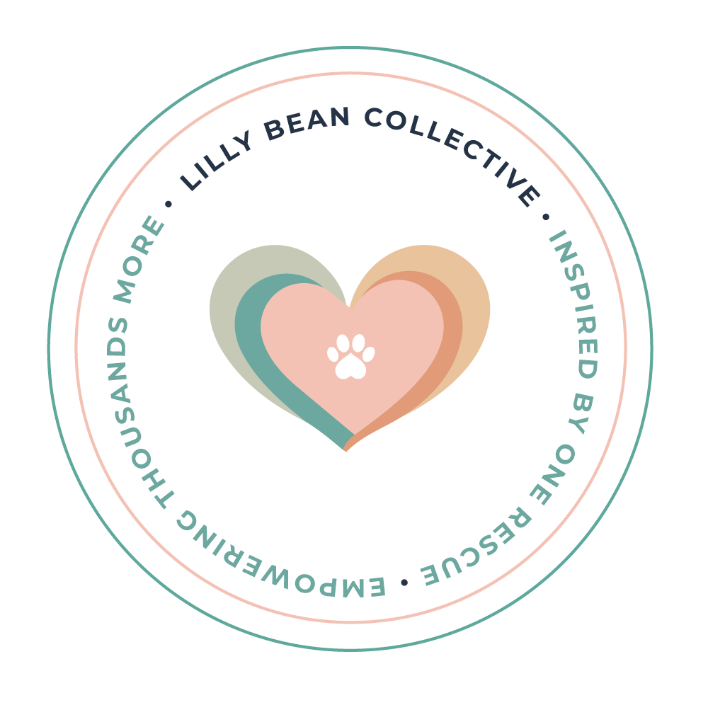 Lilly Bean Collective
